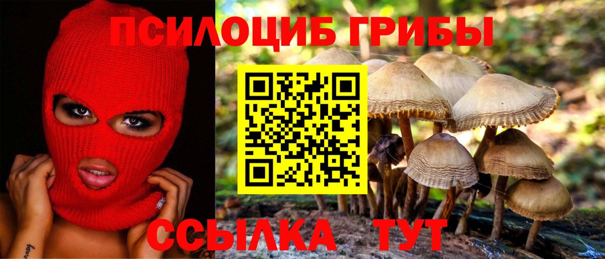 Галлюциногенные грибы прущие грибы Каменск-Уральский